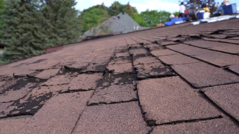 Professional Roofing Service in Southern Shops, SC