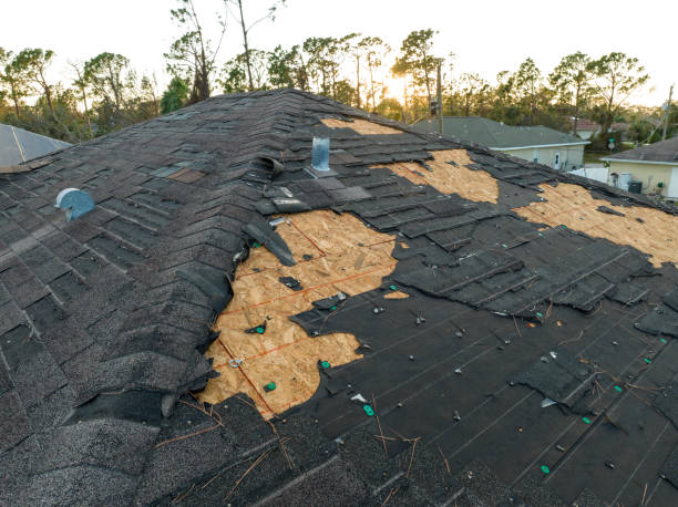 Best Steel Roofing  in Southern Shops, SC