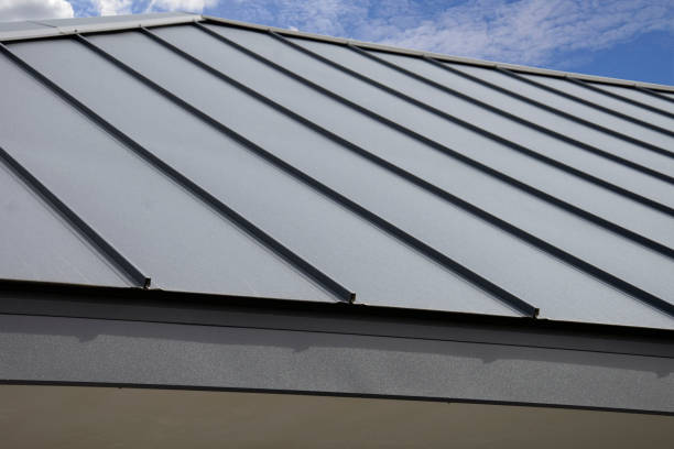 Best Roof Moss and Algae Removal  in Southern Shops, SC
